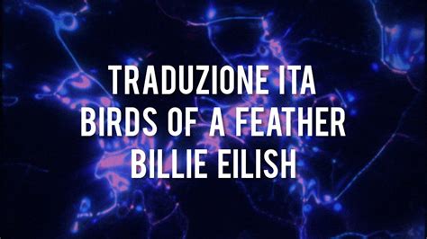 birds of a feather traduzione testo